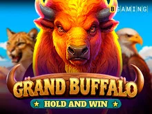 Grand Buffalo Hold and Win